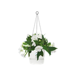 greenville hanging basket 24cm white